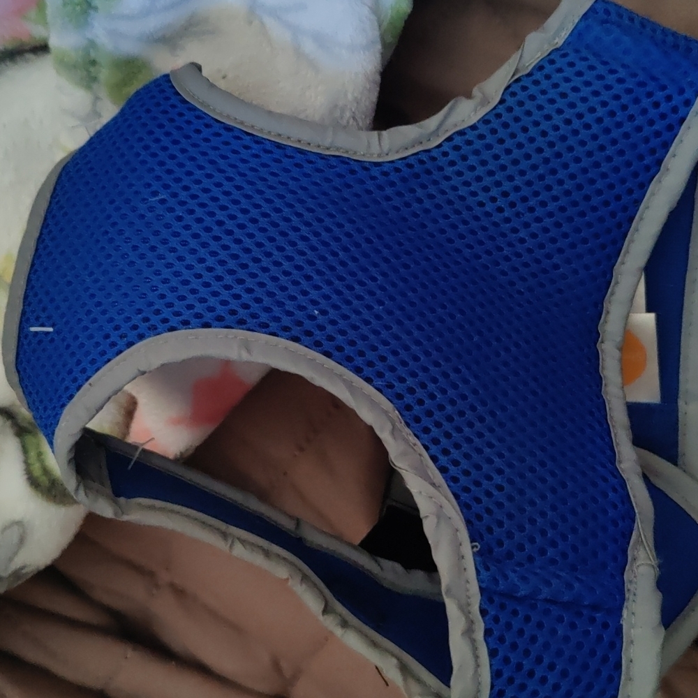 Dog harness